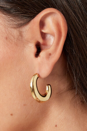Earrings classy half moon - silver h5 Picture3